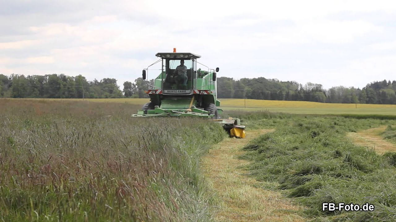 Deutz-Fahr Grasant 260 H im Einsatz