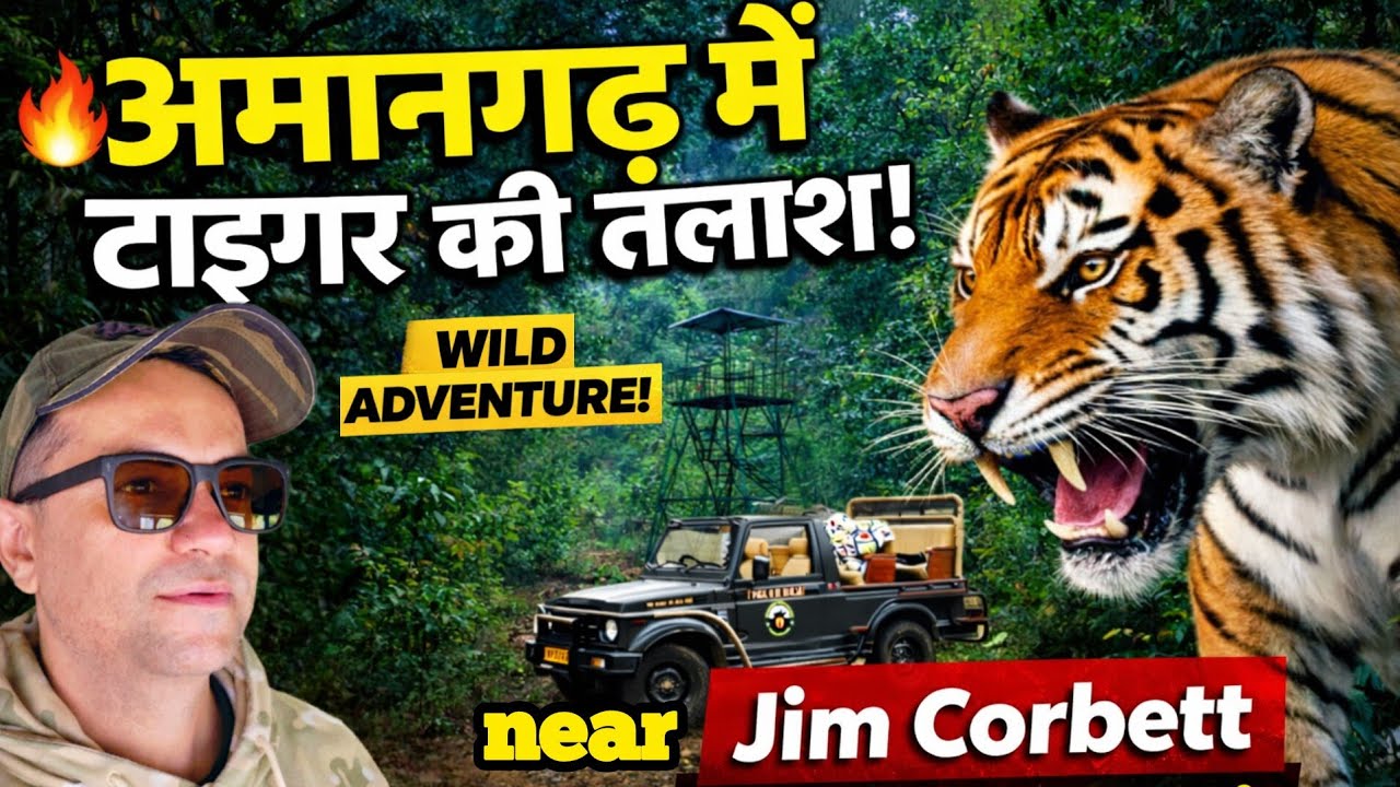 Amangarh Tiger Reserve Safari | Jim Corbett ke Jungle me Tiger ki Talaash!