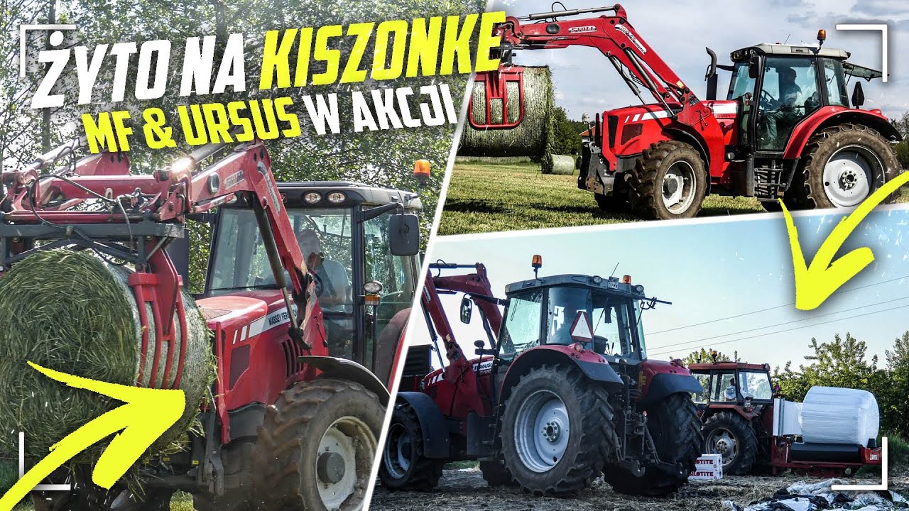 ㋡Zbiór żyta na kiszonkę㋡MF i Ursus w akcji㋡Wiosna 2020㋡AgroKamil㋡