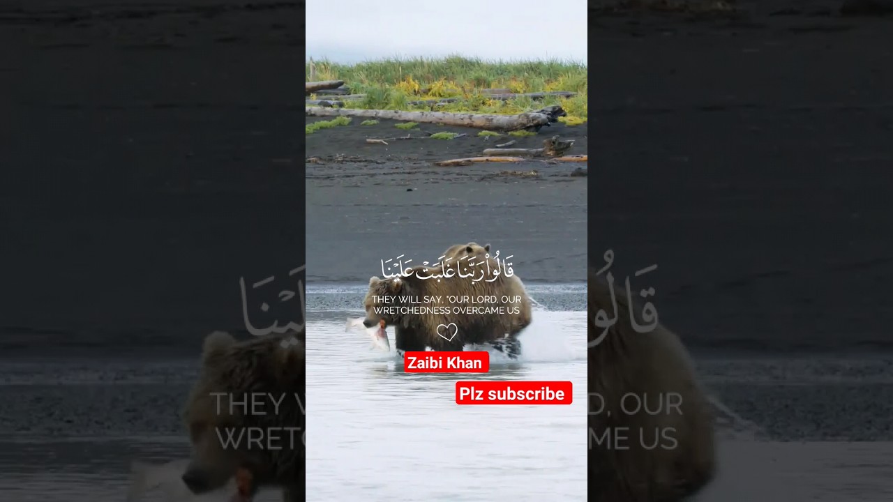 #alquran #beautyfullvideos #islamicstatus #islamic #tlawat