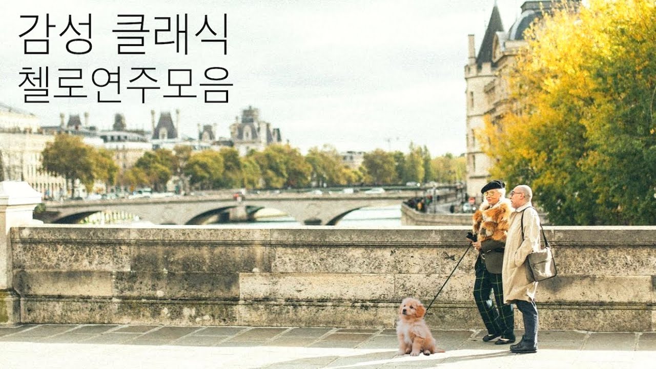 첼로로 연주하는 사랑의 인사ㅣ엘가ㅣ베토벤ㅣ그대를 사랑해ㅣ송어ㅣ슈베르트ㅣ가곡ㅣ첼로연주곡모음
