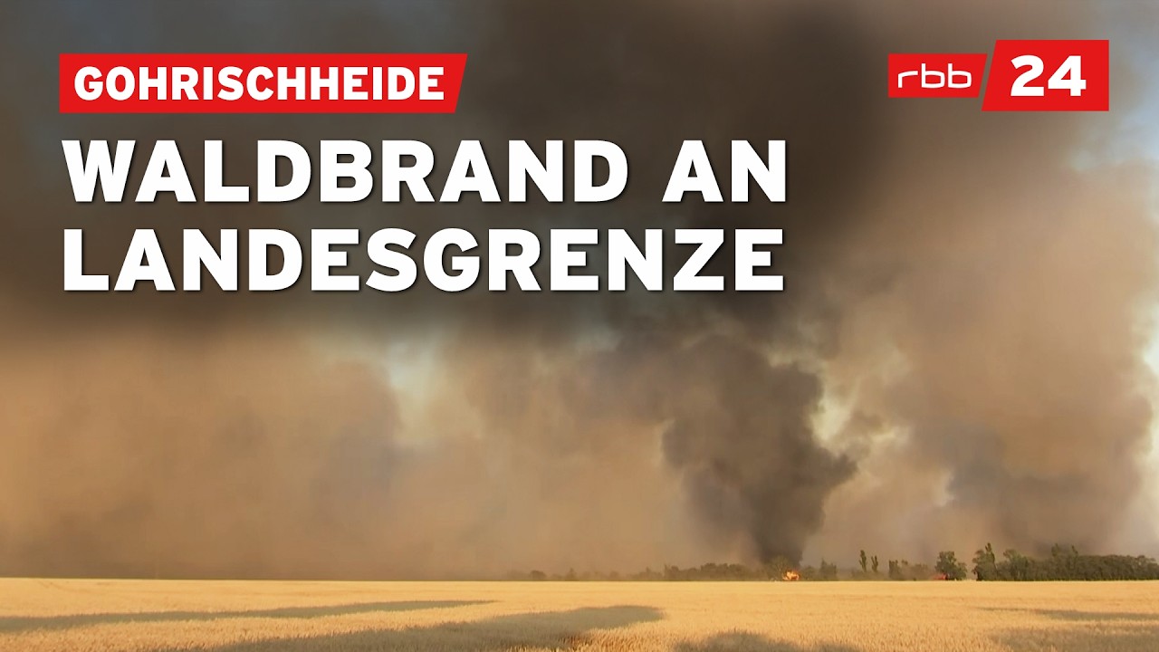 480 Feuerwehrleute im Einsatz bei Brand in der Gohrischheide