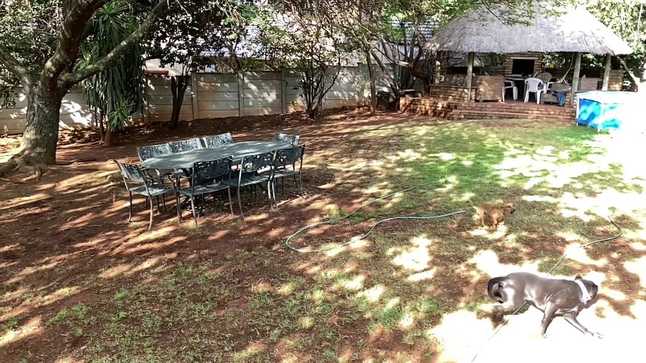 Braai Area Renovations