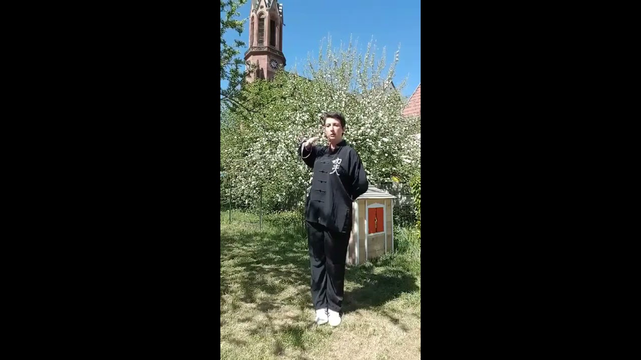 Qi Gong 5 organes - 1ère partie: tonifier foie, cœur et un mouvement pour la rate