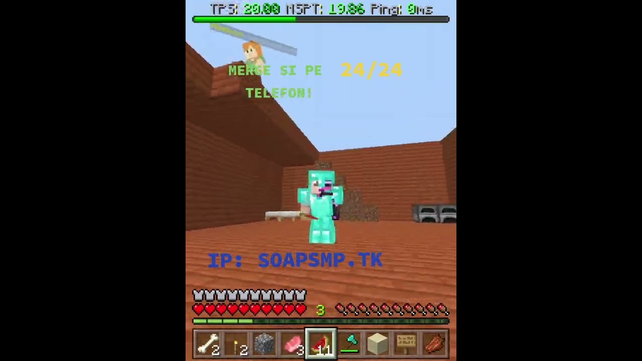 MINECRAFT ROMANIA SMP
