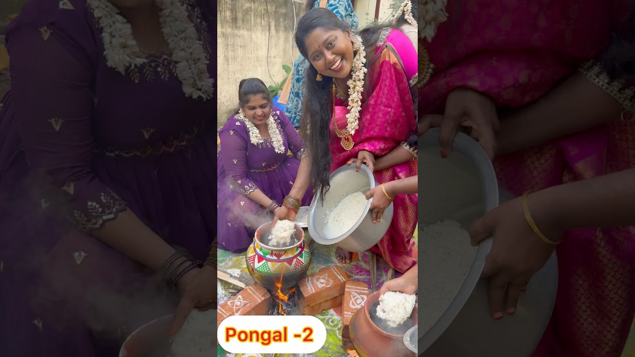 Pongal brings fun joy happiness and laughter 