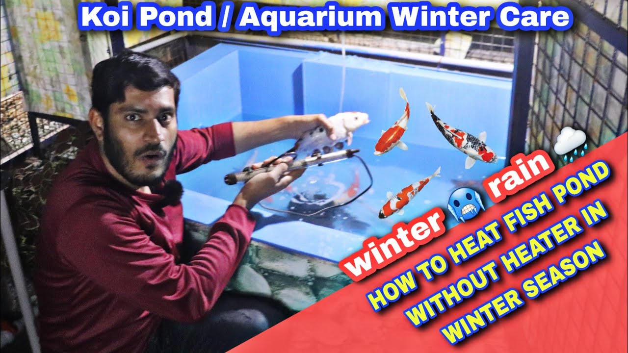 How to Heat Fish Pond or Fish Tank in Winter Without Heater