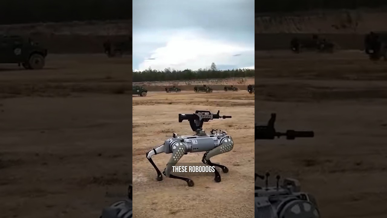 Chinese Robot Dogs Coming to the Battlefield