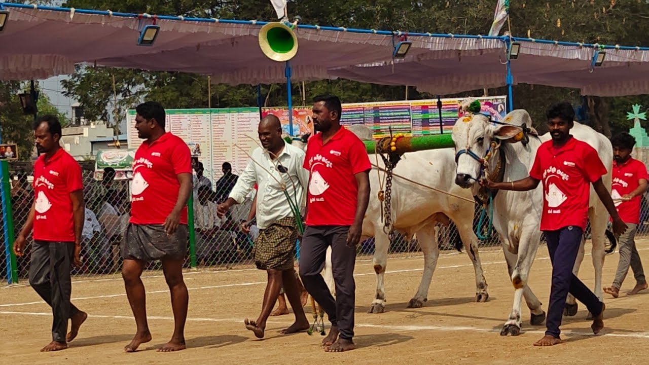 రెంటచింతల 2 పళ్ళు 5వ KRR BULLS మేళ్లచెరువు గ్రామం సూర్యాపేట జిల్లా...