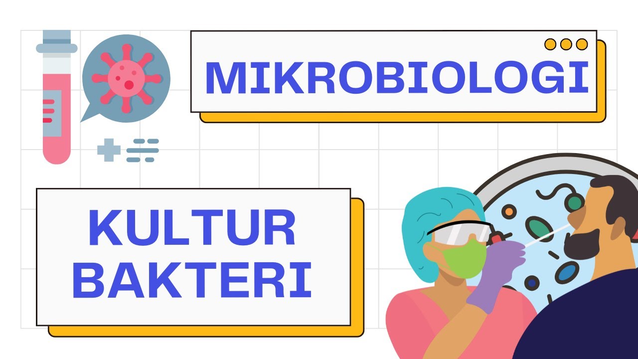 Kultur Bakteri (Media kultur, Sample Bakteri, Metode Kultur) | Microbiology 101
