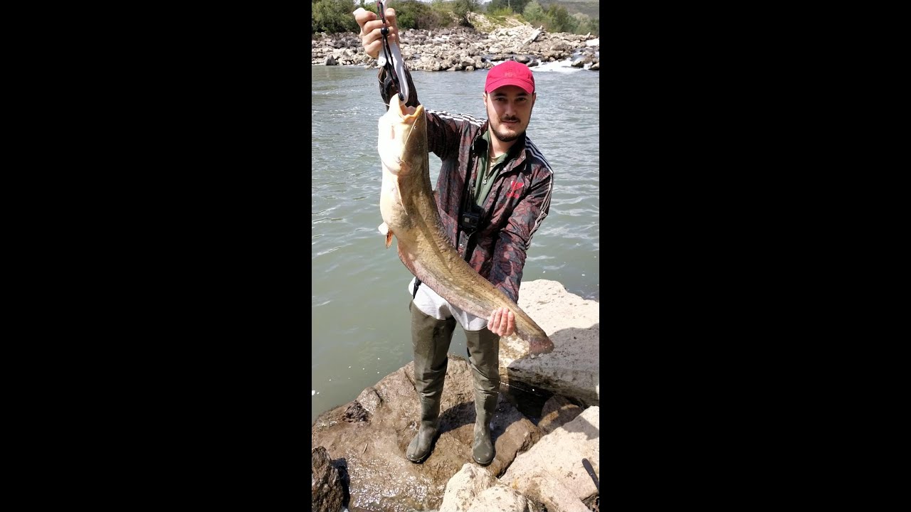 LUCCI, CAVEDANI E SILURI - SPINNING FIUME TEVERE - APRILE 2021 - PRIMA PARTE