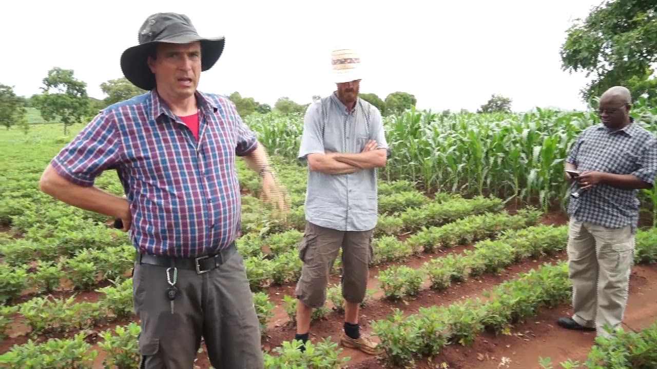 Conservation Agriculture: The Gospel According CIMMYT