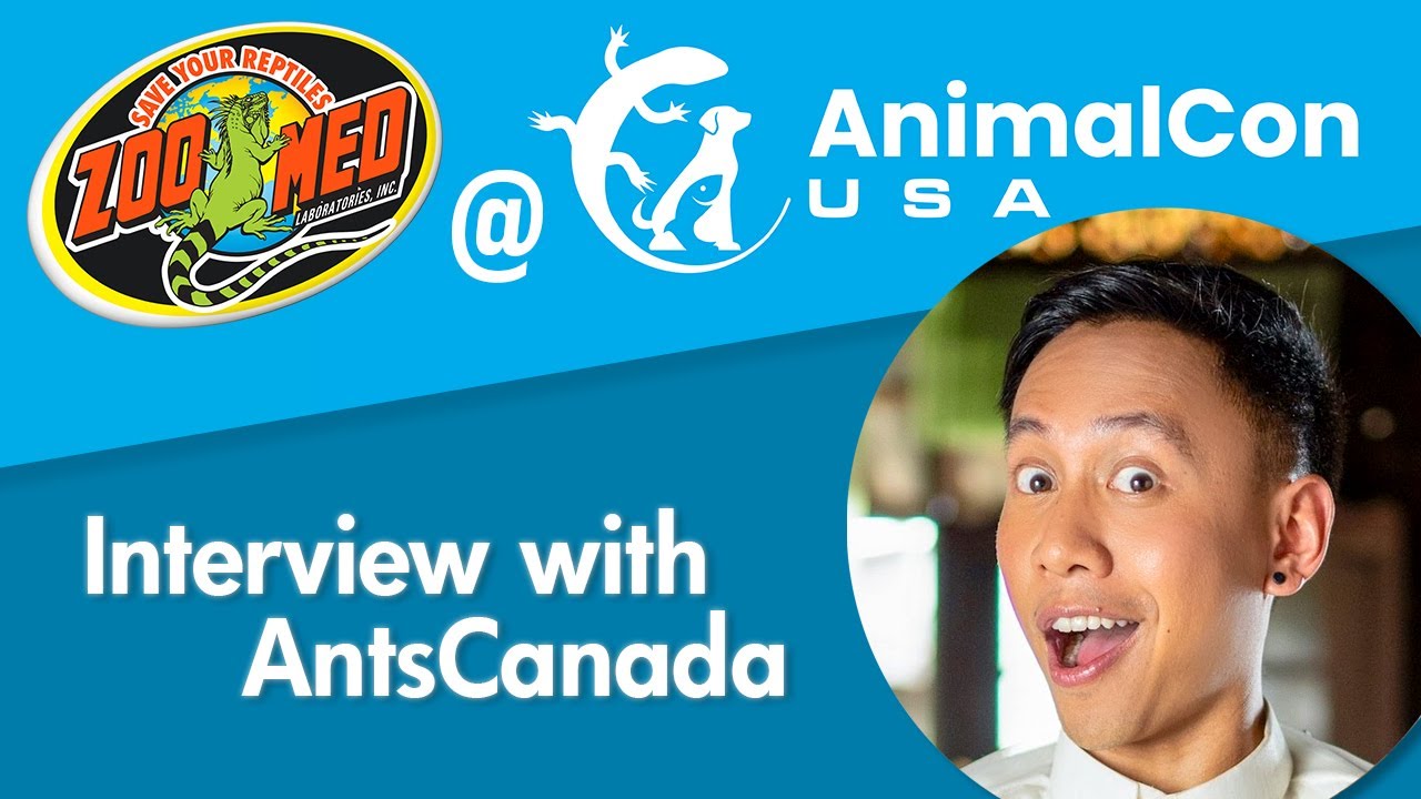 AntsCanada Interview with Mikey Bustos - AnimalCon USA 2022