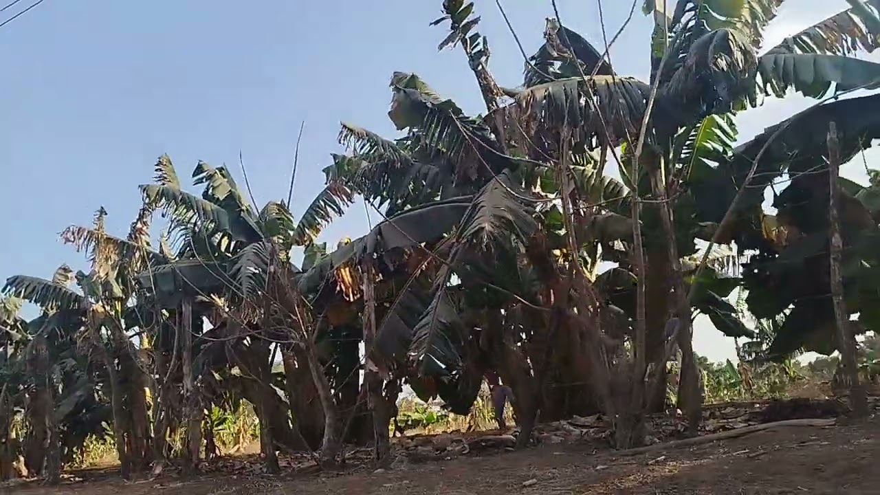 Bienvenidos..un pequeño paseo ... acompañame