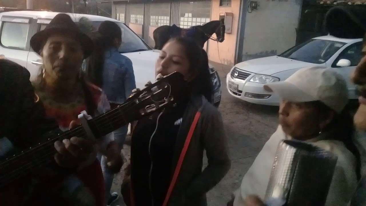 Anthony  y su acordeón    guaynos