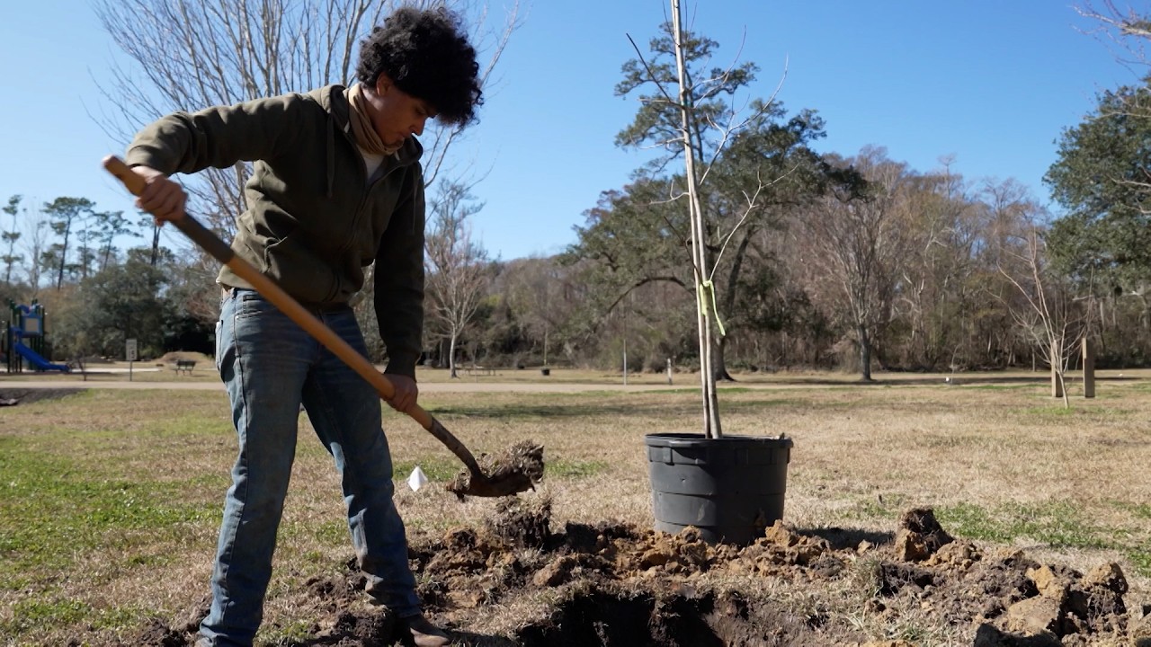 Louisiana’s Tree Revival: 7,400 Trees Planted and Counting | SWI | 2/20/26