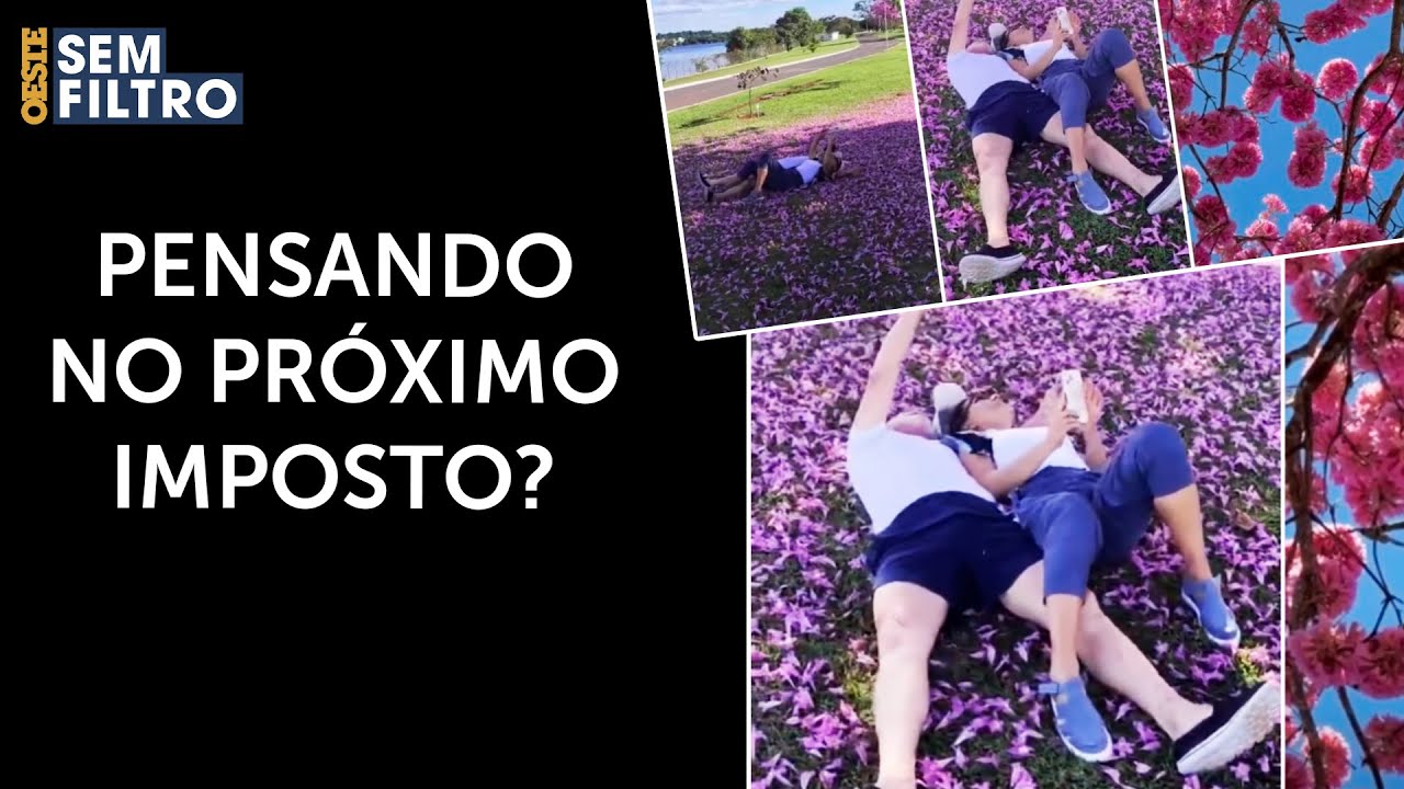 Lula e Janja observam pássaros sob árvore florida no Alvorada