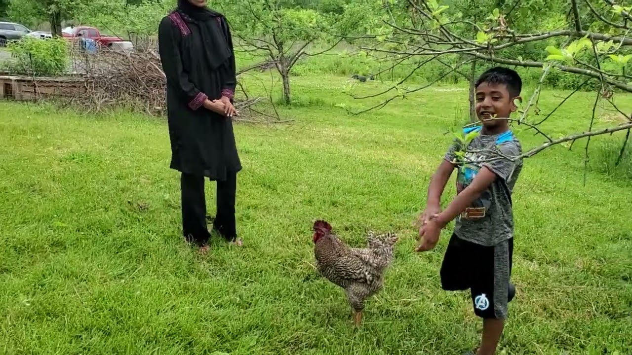 আমেরিকার গ্রামের পরিবেশ।