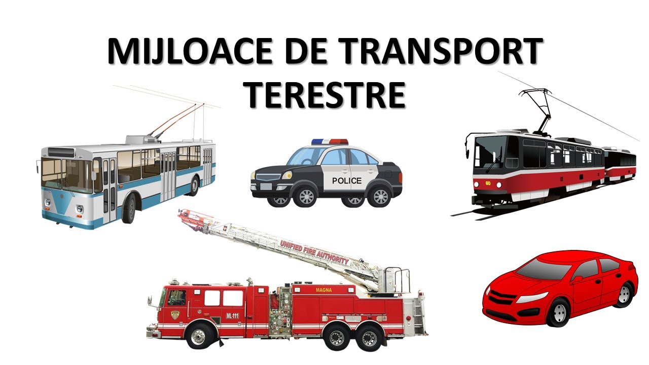 Cu ce călătorim pe uscat? Mijloace de transport terestre