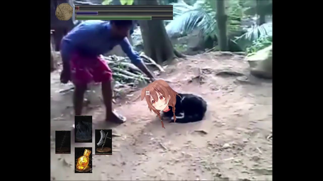 A very angry doggo