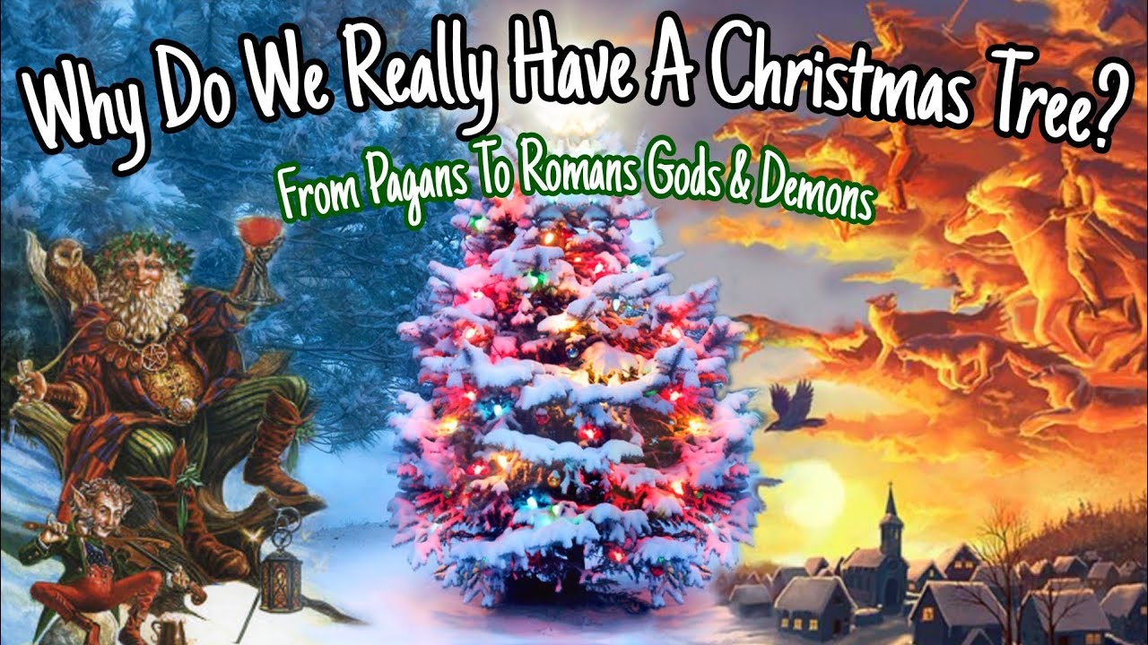 Why Do We Have A Christmas Tree? The History, Mythology & Folklore Of The Christmas Tree 🌲