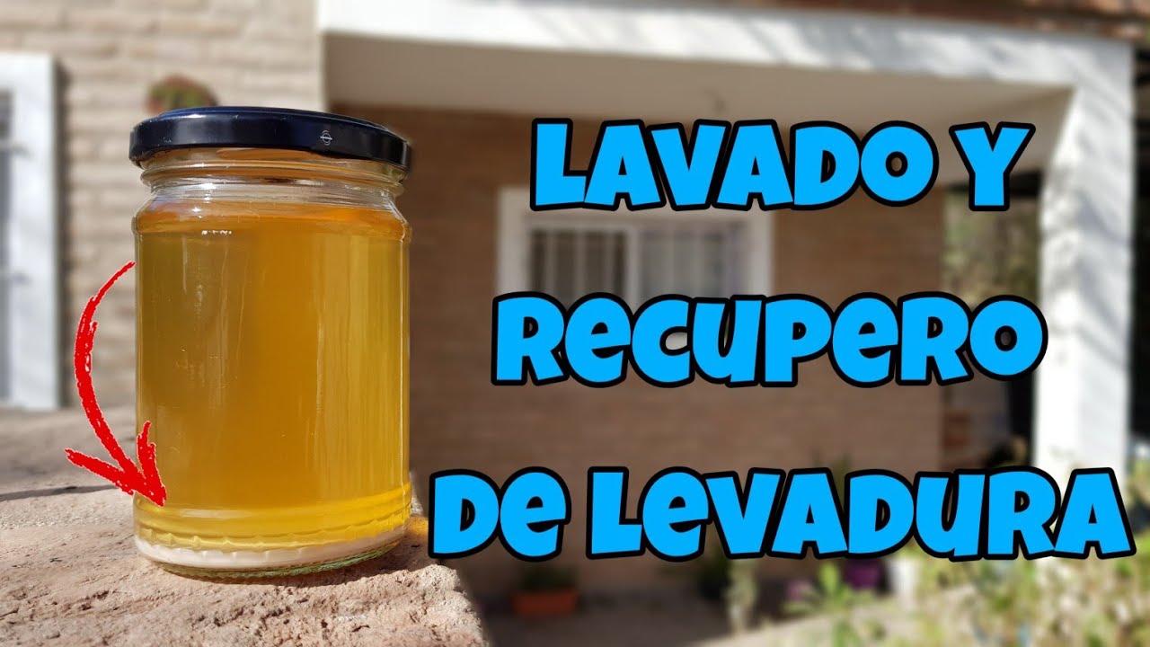 Lavado y recupero de Levaduras Cerveza Artesanal | La Birra Nostra