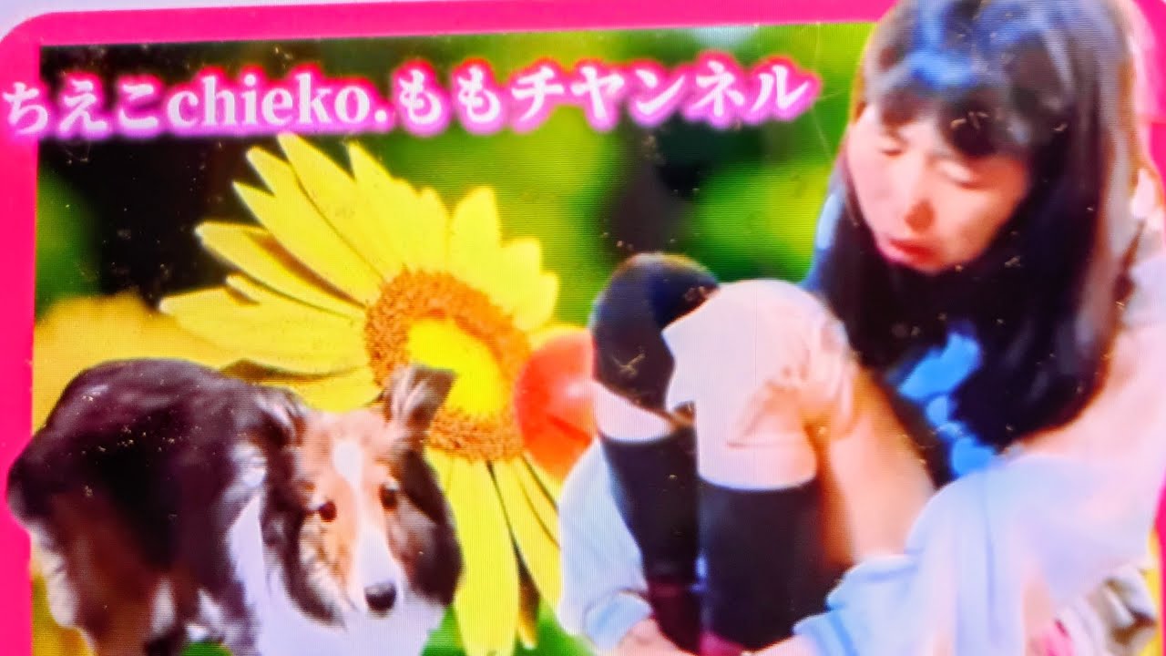 (初見さん大歓迎）楽しいライブ配信🤩🤩