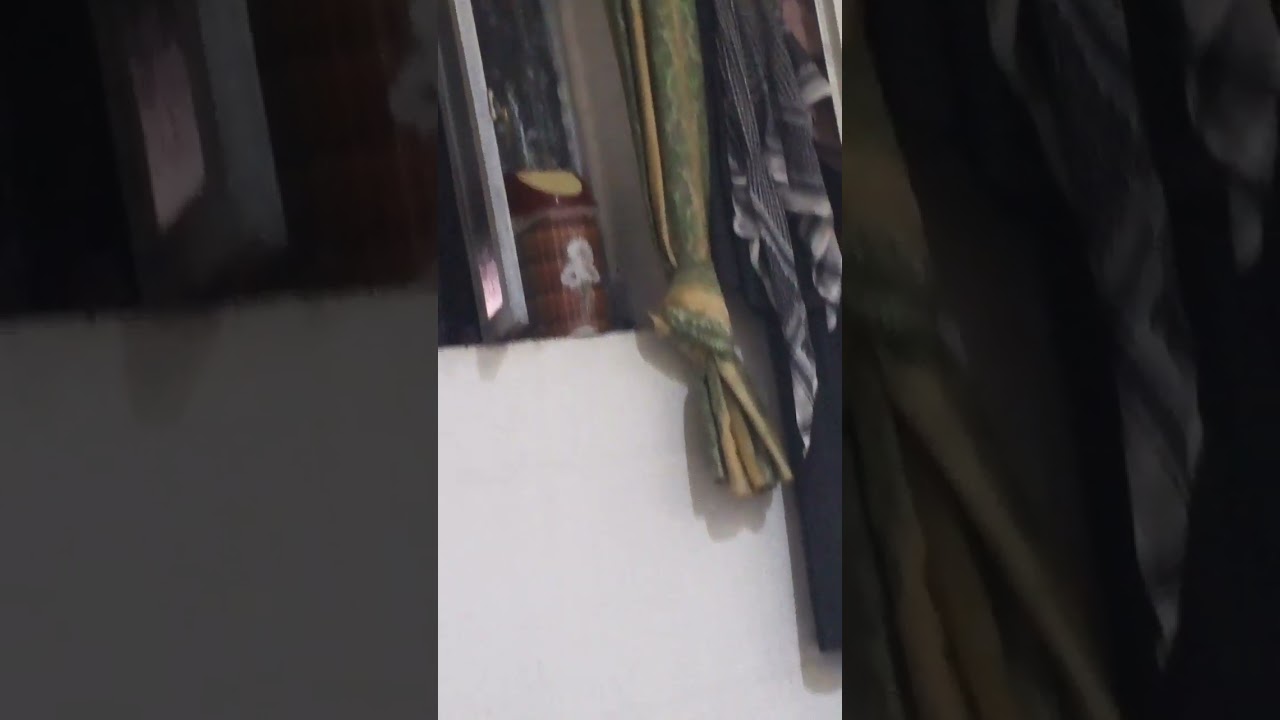 ١٤ أغسطس ٢٠٢٥