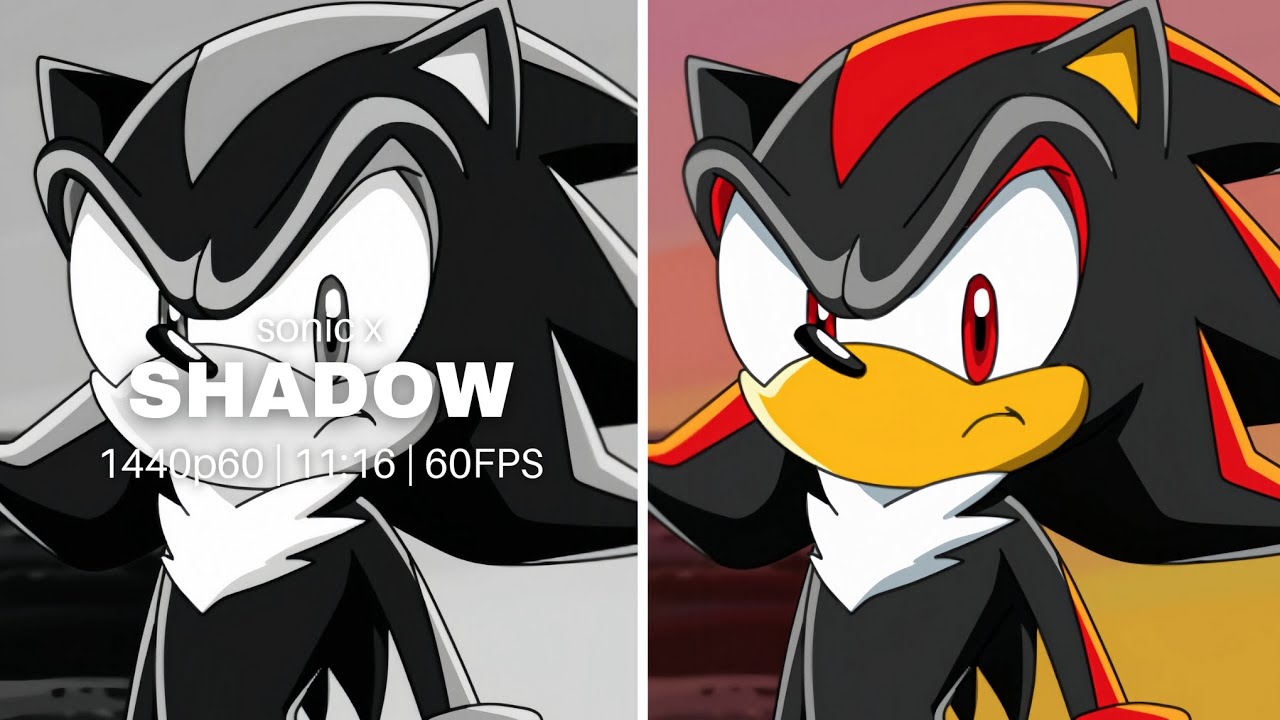 Shadow The Hedgehog (Sonic X) || Clips For Edits || [4K/60FPS]