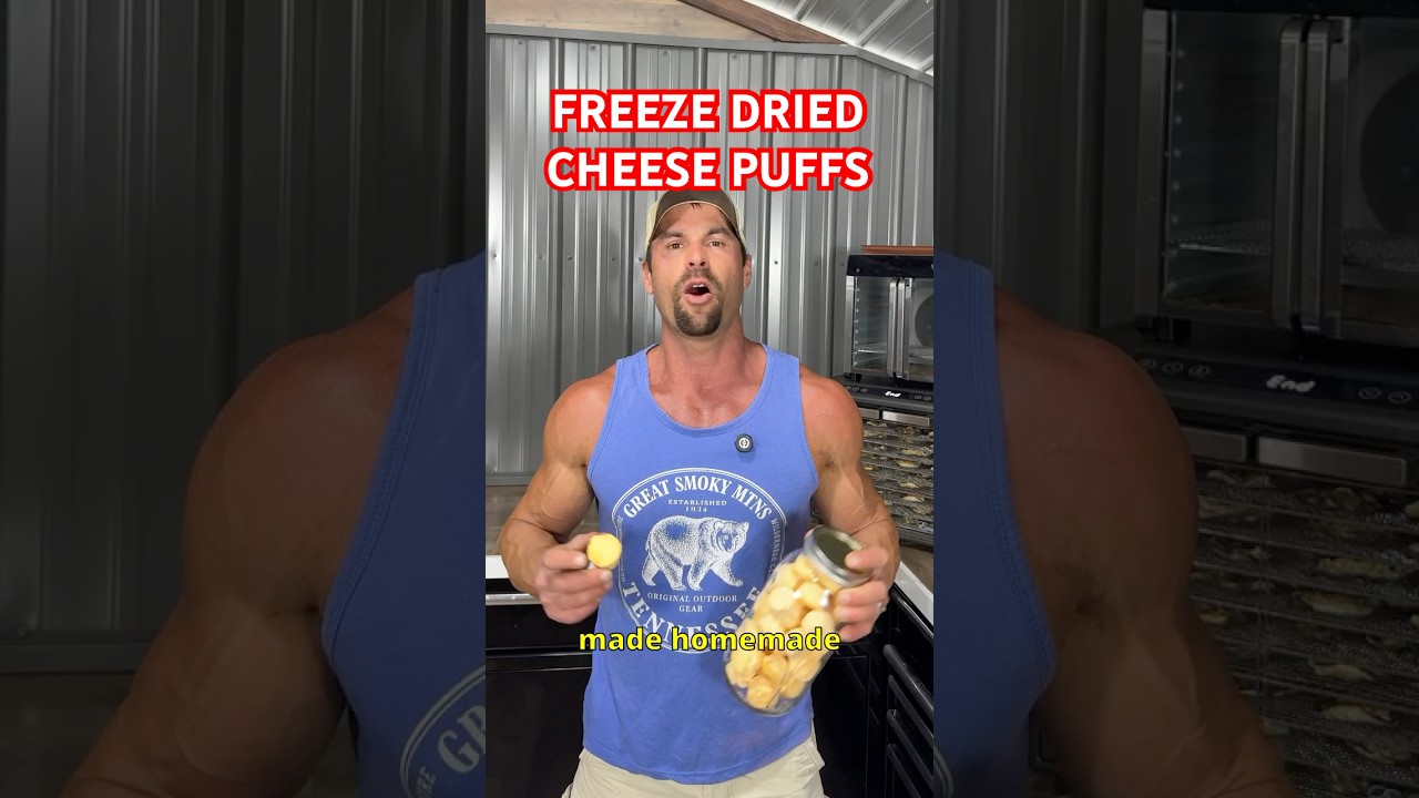 ДОМАШНИЕ СЫРНЫЕ ПЛОЙКИ! #freezedried