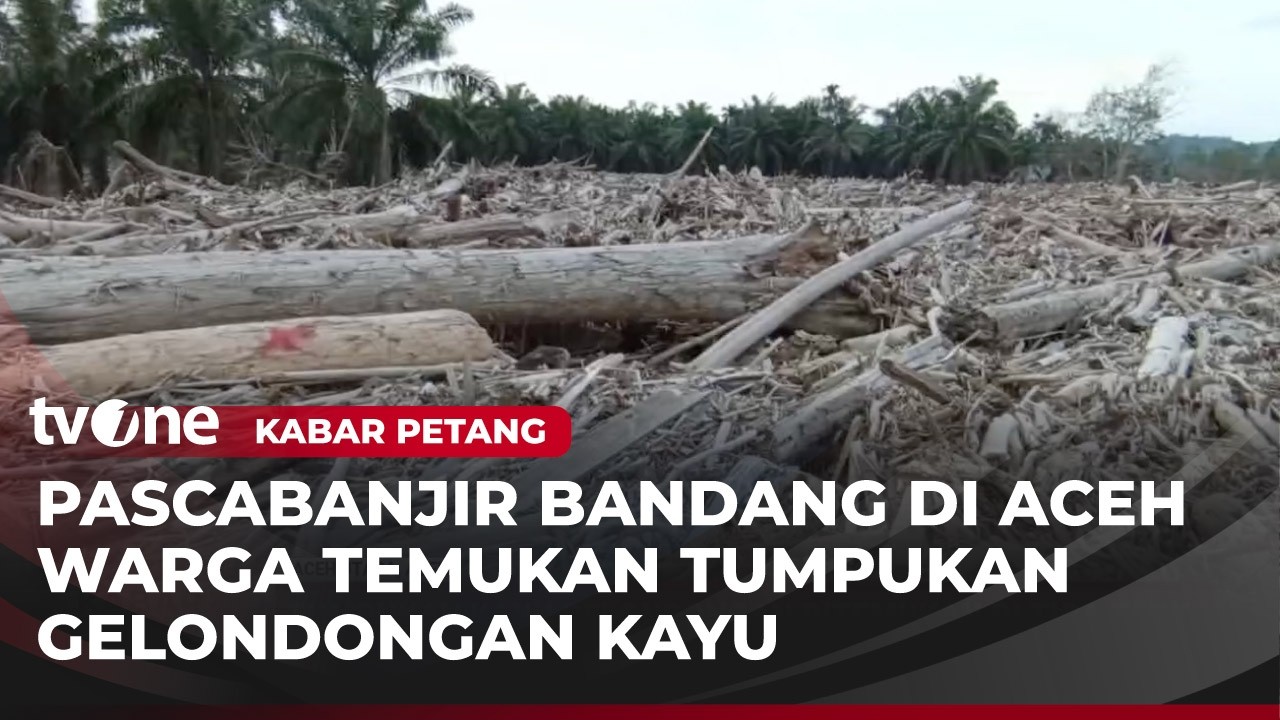 Warga Aceh Utara Temukan Tumpukan Kayu Sisa Banjir Bandang | Kabar Petang