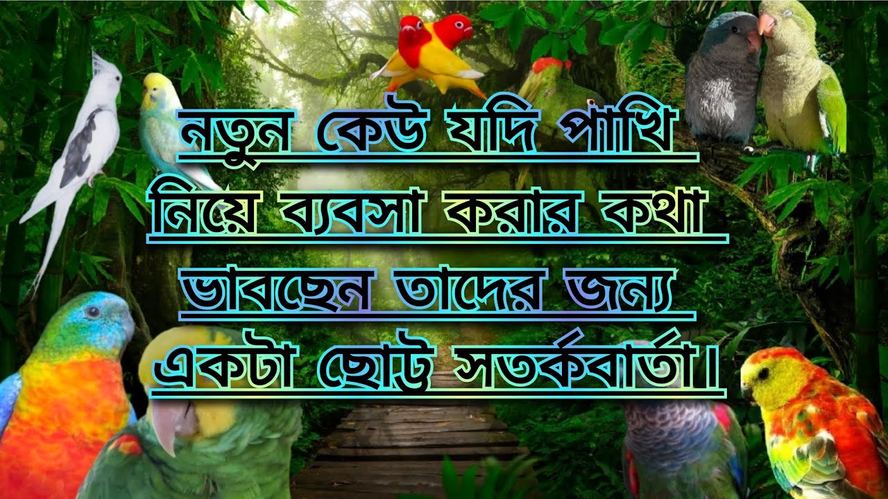 নতুন কেউ যদি পাখি নিয়ে ব্যবসা করার কথা ভাবছেন তাদের জন্য একটা ছোট্ট সতর্কবার্তা।🙏🙏🙏
