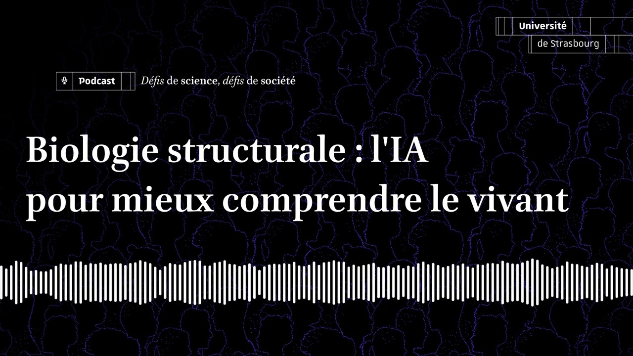 Biologie structurale   l'IA pour mieux comprendre le vivant