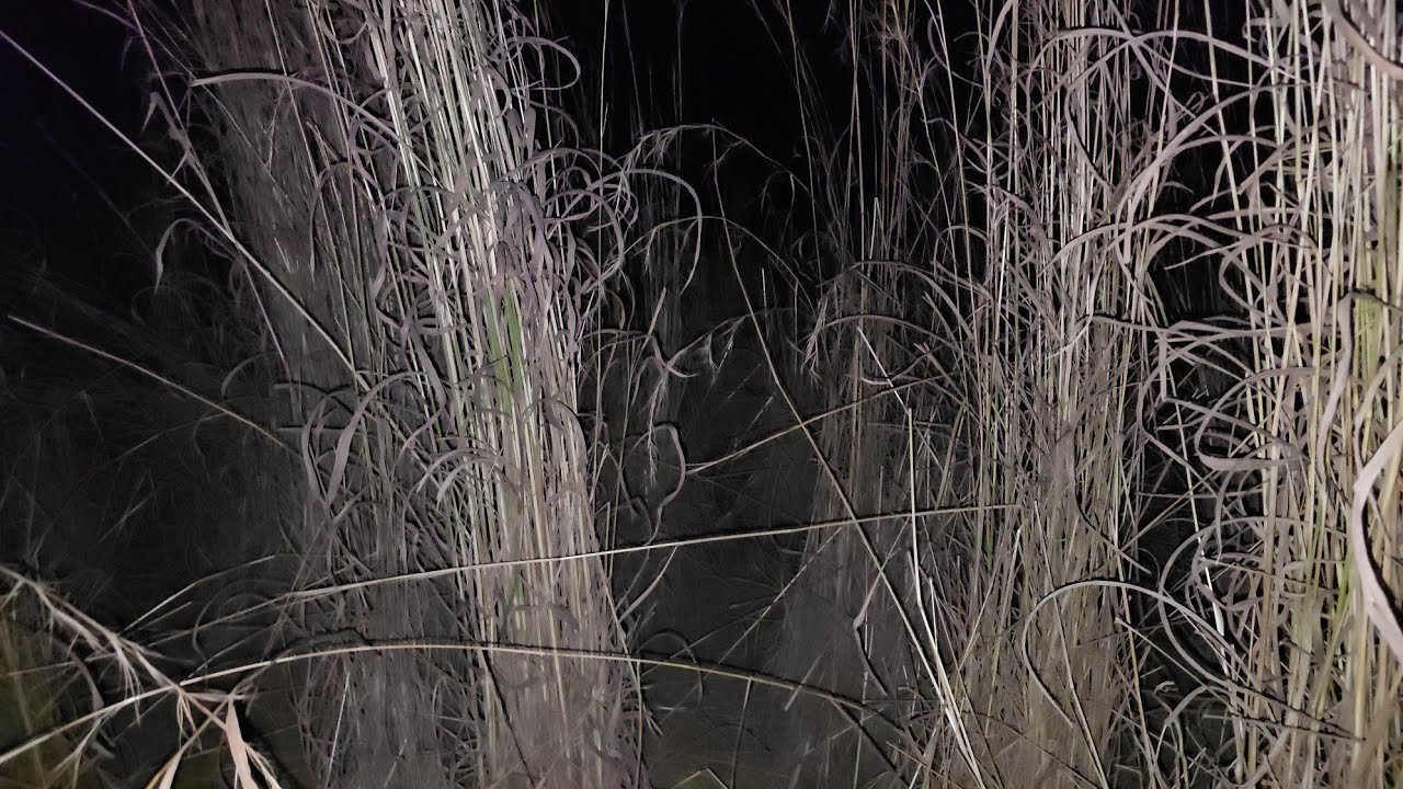 En este Lugar podría Estar Jeepers Creepers 