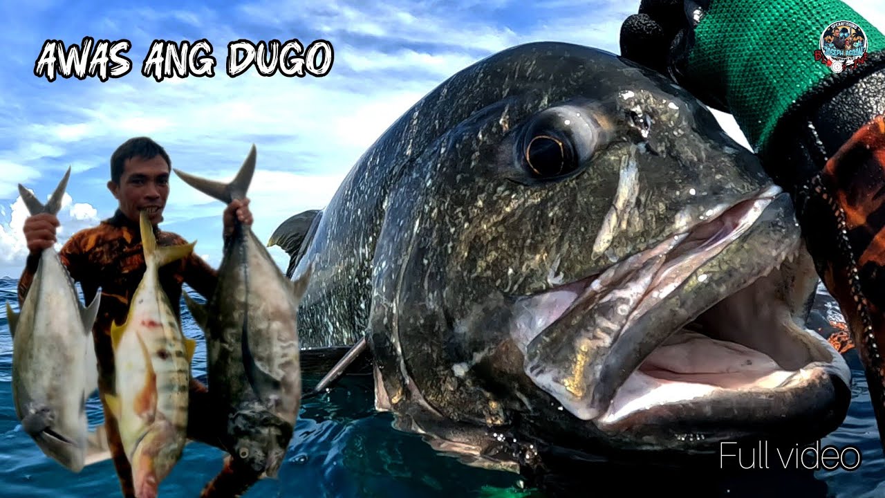 Spearfishing || Puro MAMAW
