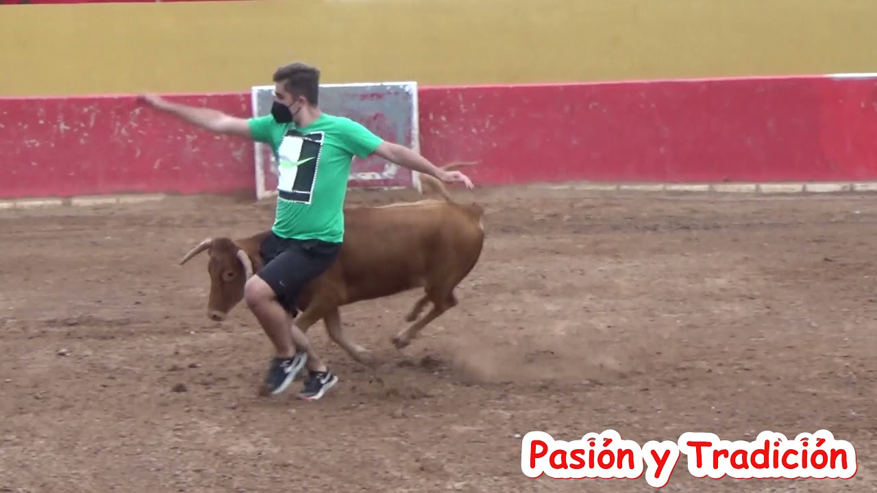 Suelta de una erala de la ganaderia de Bañuelos!!