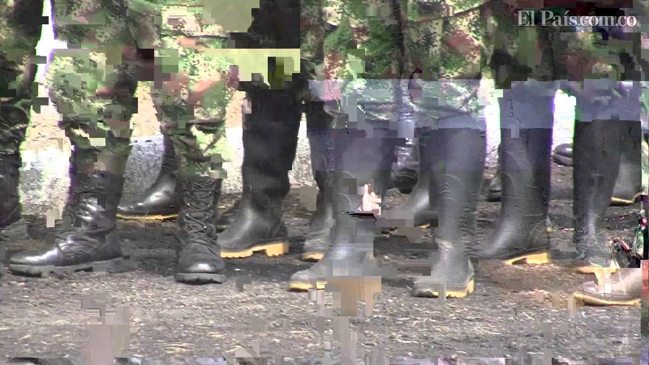 Demovilización ELN HD Youtube El PaisAsí fue la desmovilización de 30 guerrilleros del ELN en Cali
