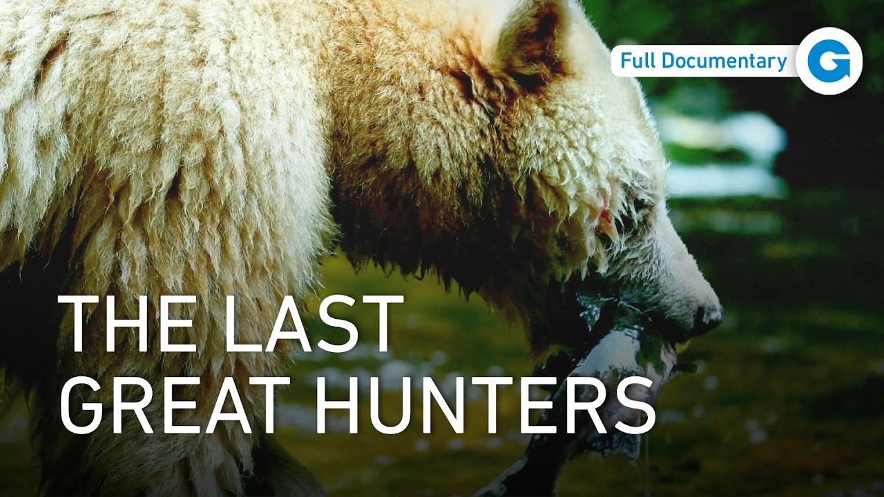 Bears: Masters of the Wilderness | Full Wildlife Documentary