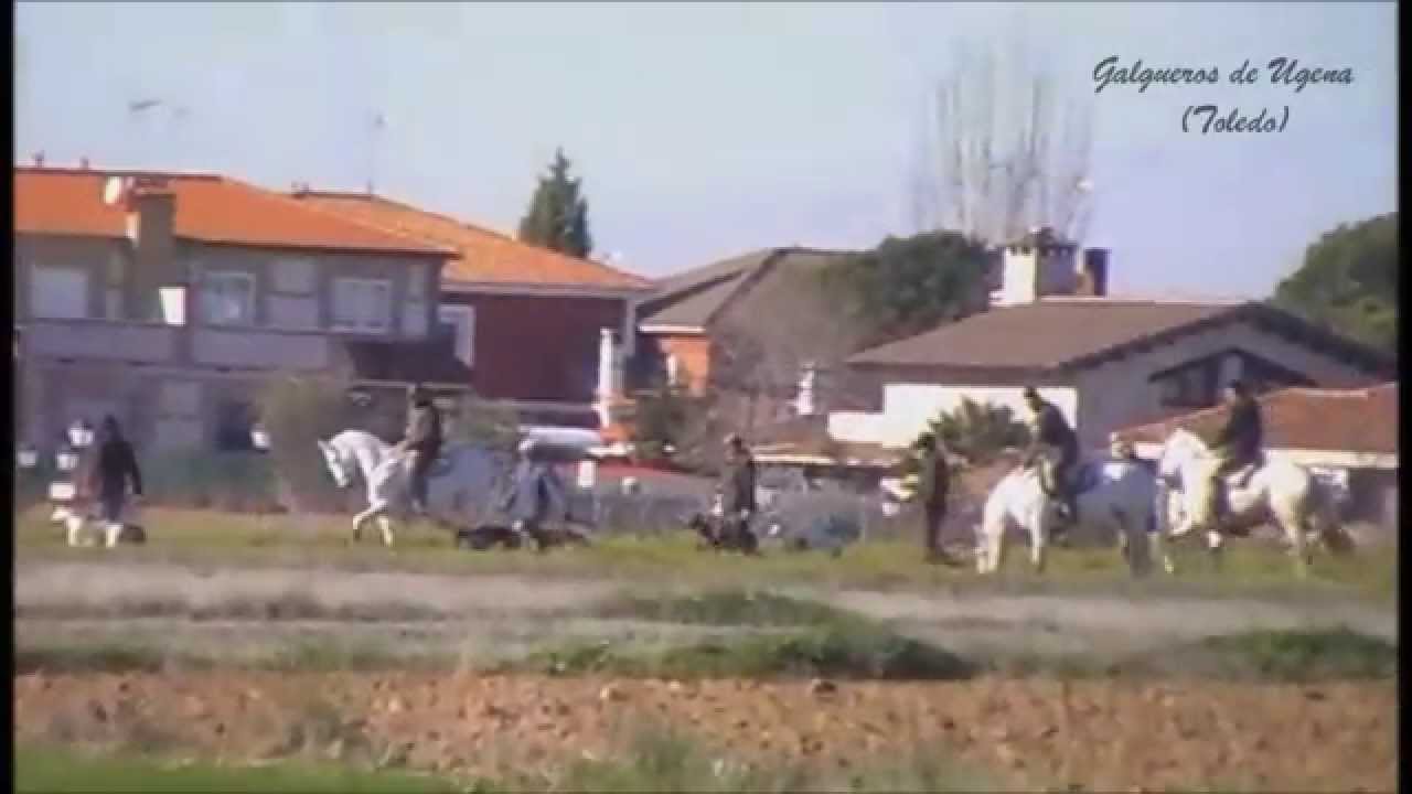 Galgueros de Ugena(Toledo) 2014/2015