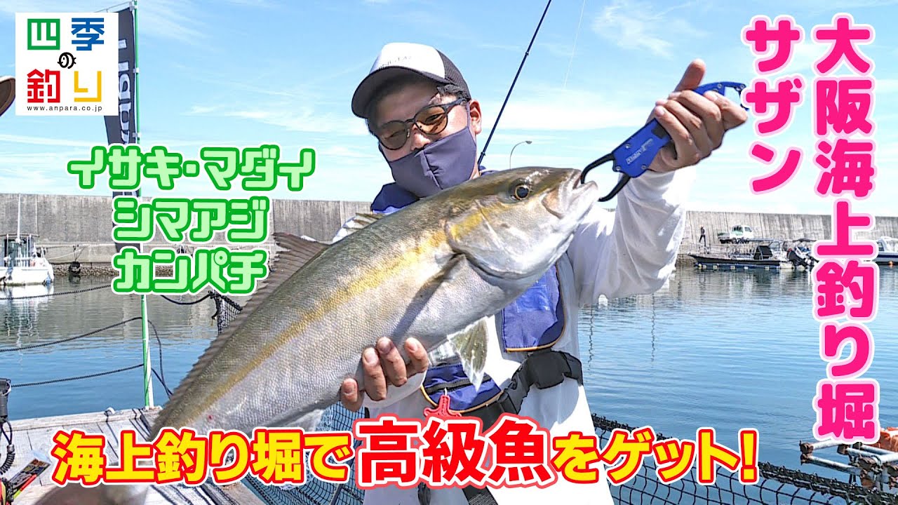 夏だ！家族で楽しもう！海上釣り堀で高級魚をゲット！（四季の釣り/2022年8月12日放送）