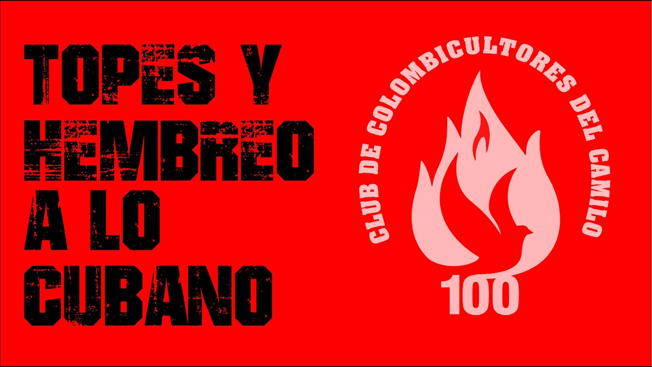 HEMBREO A LO CUBANO . Los TOPES en el Camilo