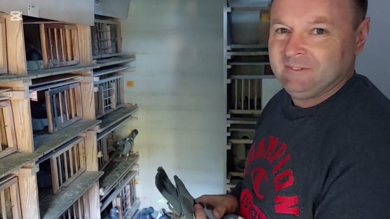Artur Chmielewski 🎥 🎬 PZHGP 07 Biała Podlaska🕊,🏆 Mistrz Okregu Biała Podlaska w Kat M 2024r