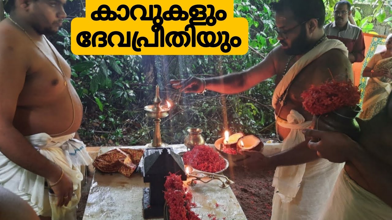 കാവുകളും പുനരുദ്ധാരണവും/Kavu/Sarpakavu