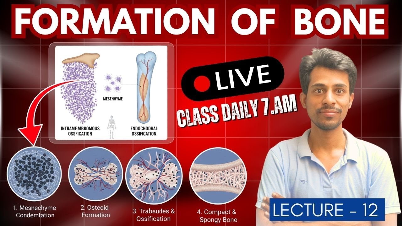 Bone Formation Intramembranous Ossification | Dr. Krishna Kumar Kushwaha | Medical Academy Wallah