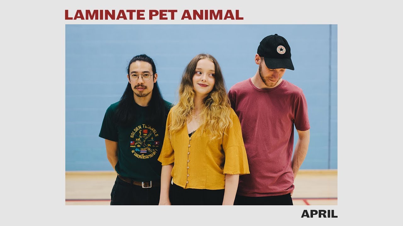 Laminate Pet Animal - April [Live at Armley Leisure Centre]