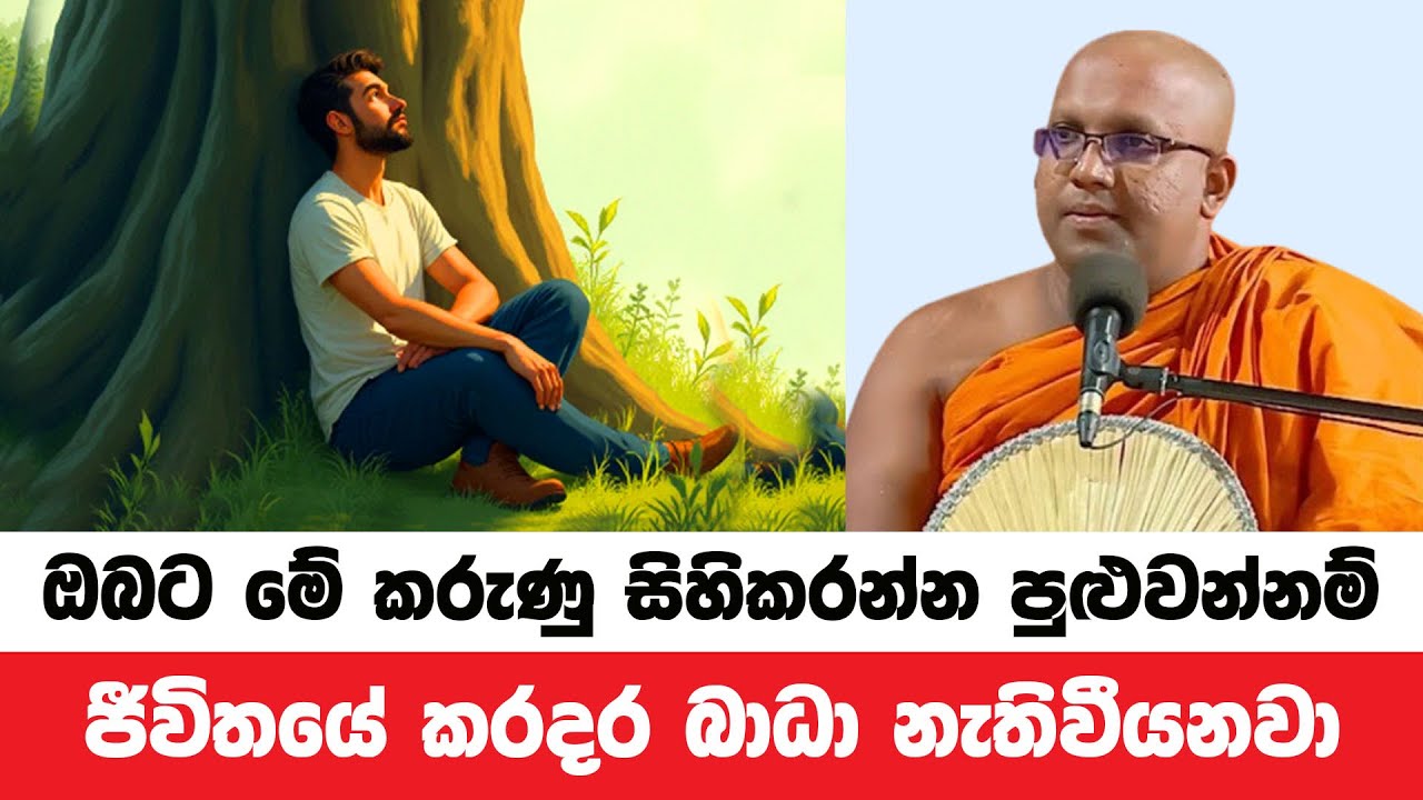 මේ කරුණු ඔබට සිහිවෙනවා නම් ජීවිතයේ කරදර නැතිවීයනවා | Kelaniye Sasanawansa Thero | Dharmadeshana 12