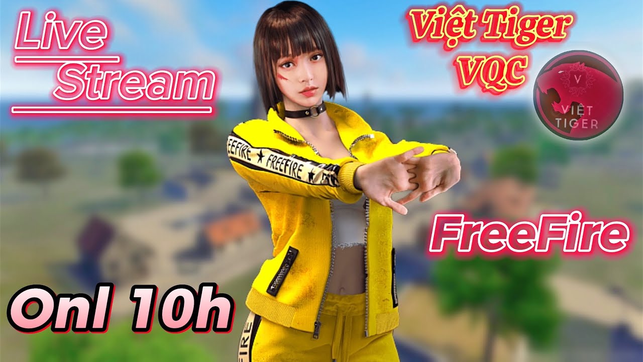 Team Code Leo Th&aacute;ch Đấuuuuu | Việt Tiger VQC