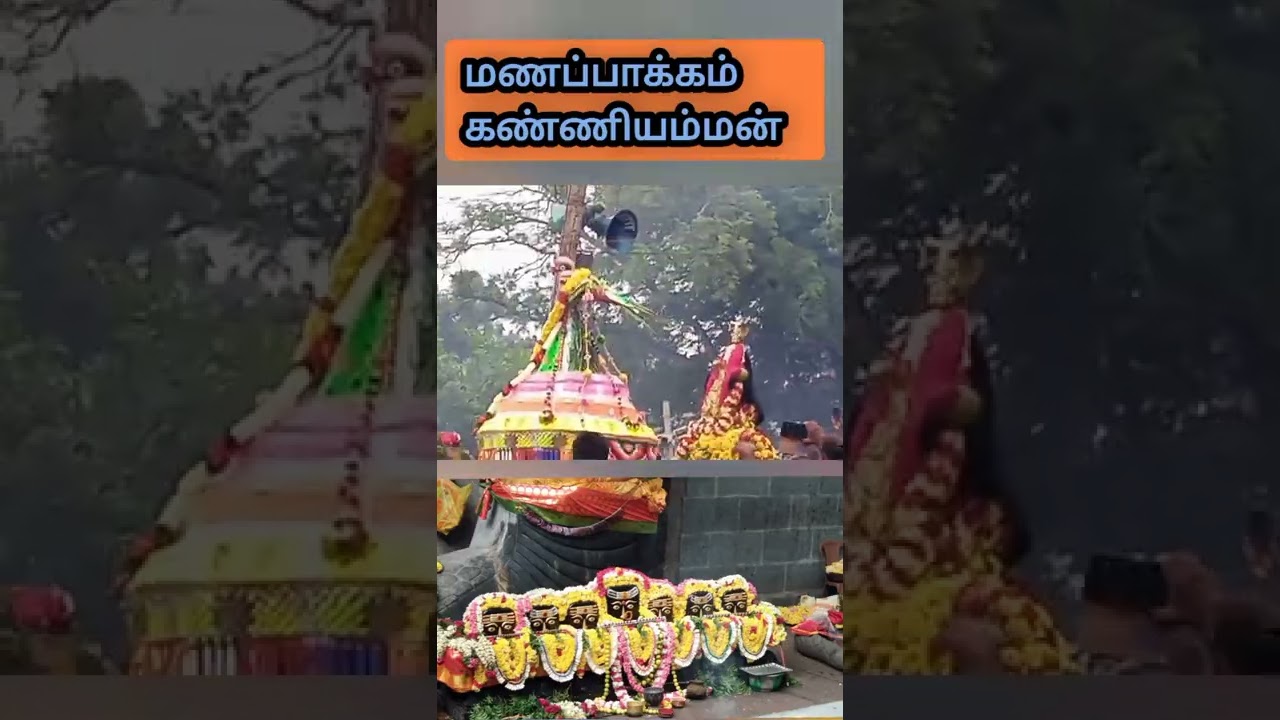 Manapakkam kanniamman Kovil Festival #shorts #tamil #shortsindia