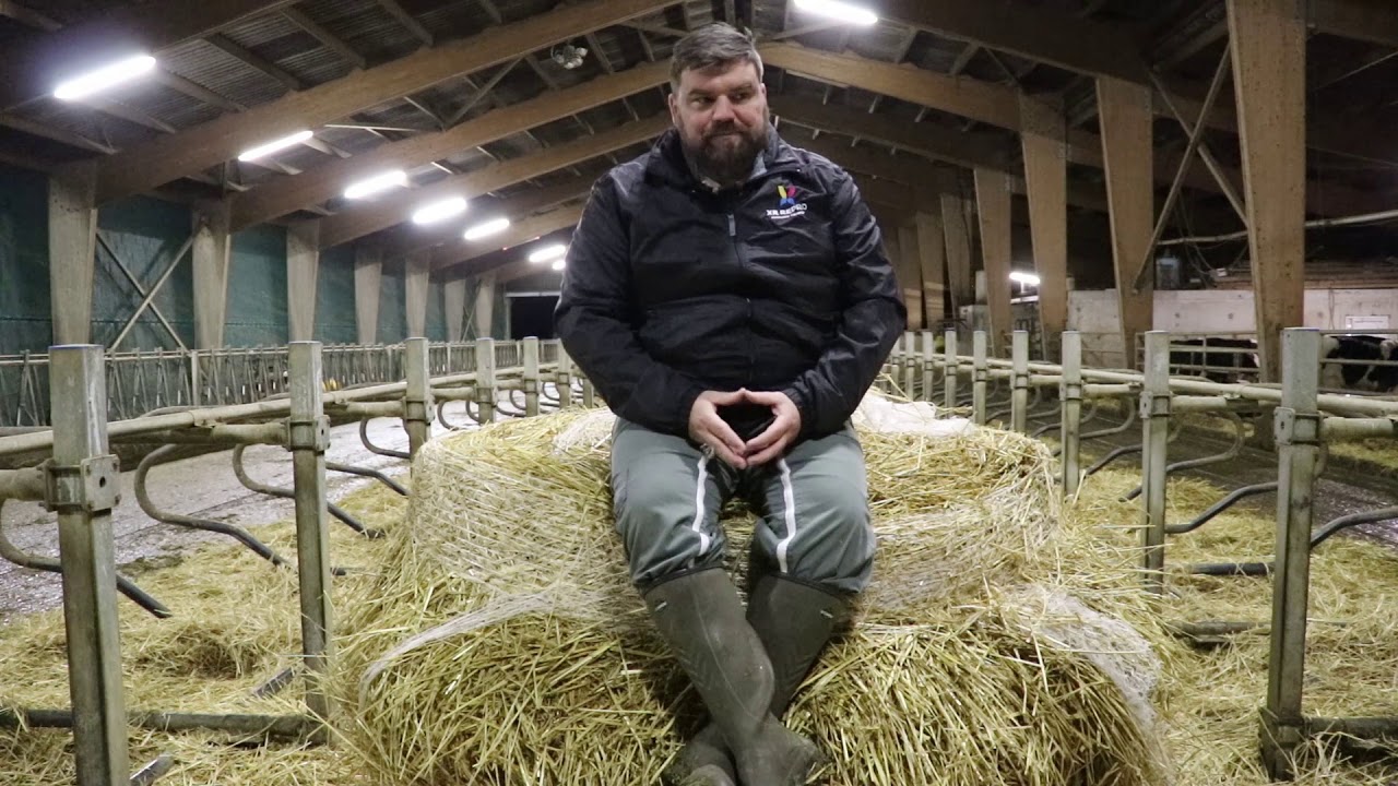 Comment établir une stratégie génétique pour un troupeau bovin ? Avec l'aide d'Opti'gen