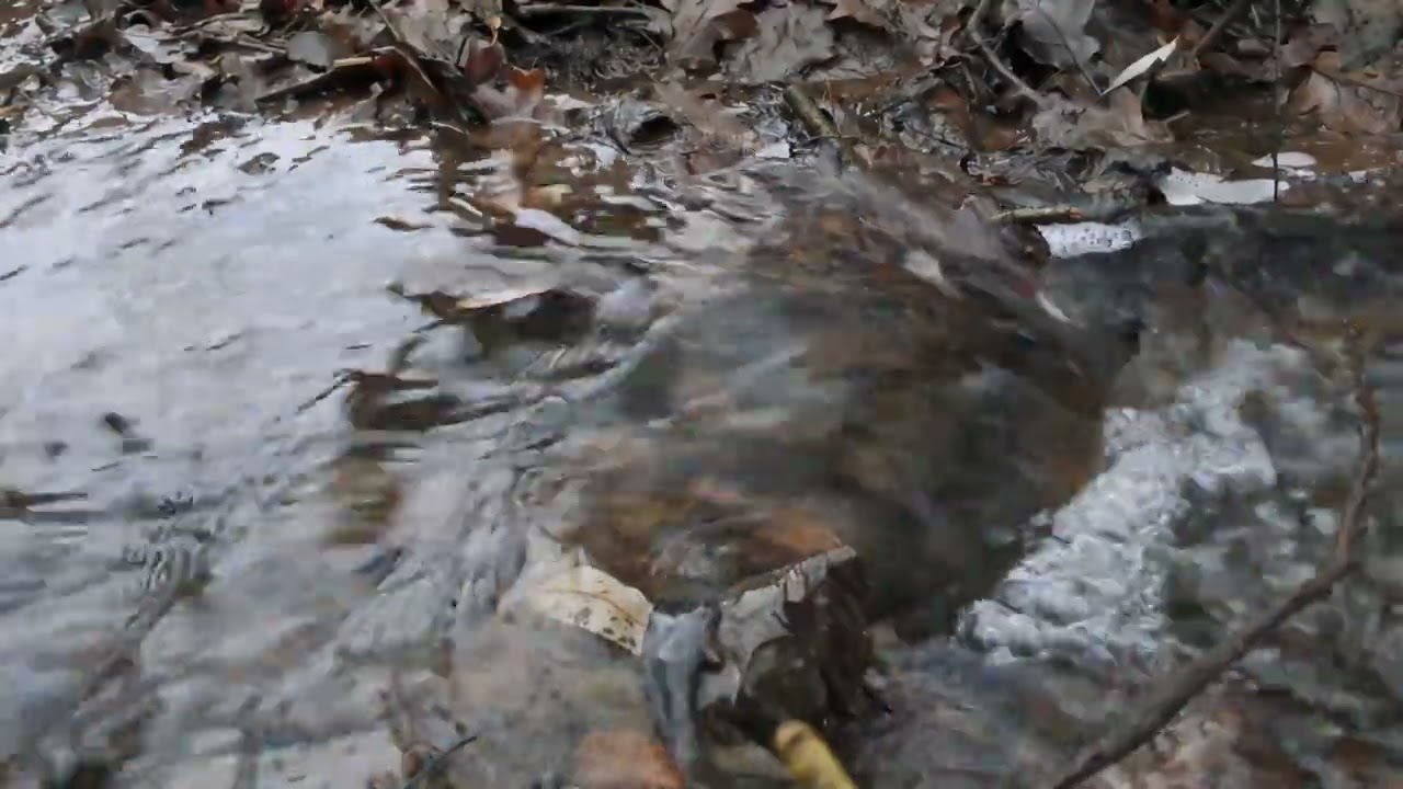 Asmr sound of stream 
